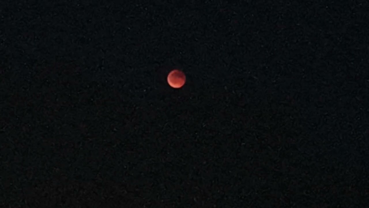 Totale Mondfinsternis (MoFi) Total Lunar Eclipse. Berlin Zehlendorf. [7/9/2025] (Zeitraffer)