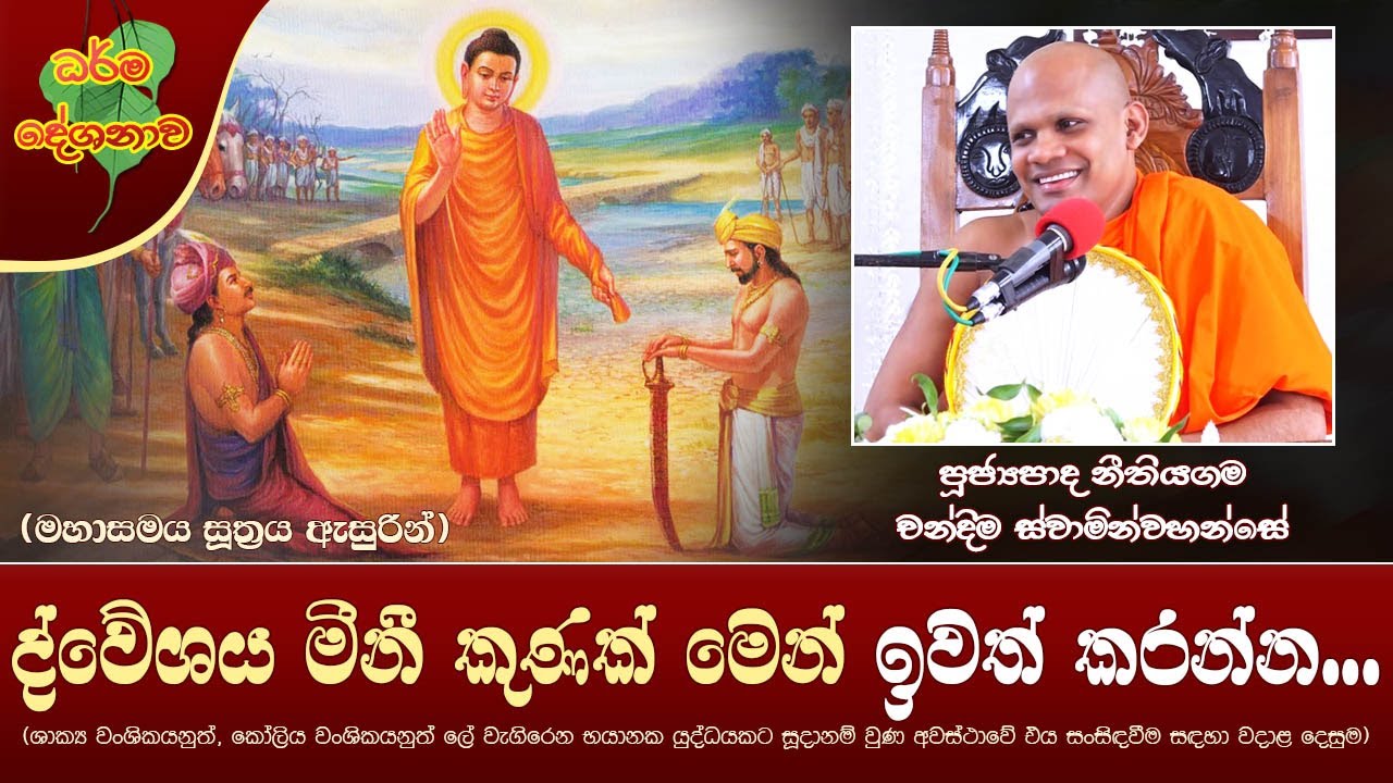Ven Nithiyagama Chandima Thero 2022-08-20 |  6:30AM(ද්වේශය මීනී කුණක් මෙන් ඉවත් කරන්න)මහාසමය සූත්‍රය