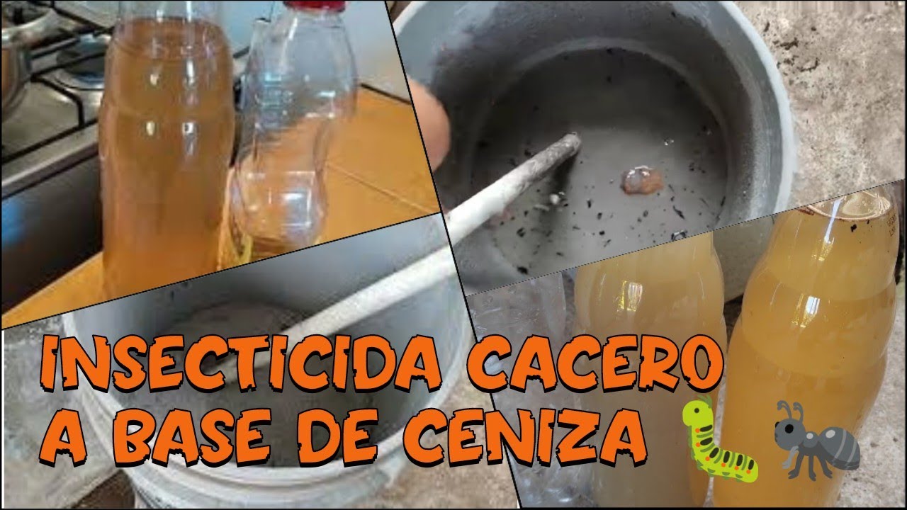 El mejor Insecticida del mundo /LEJIA DE CENIZA/MOSCA BLANCA, PULGON, ARAÑA,OIDIO,CERCOSPORA,GUZANOS