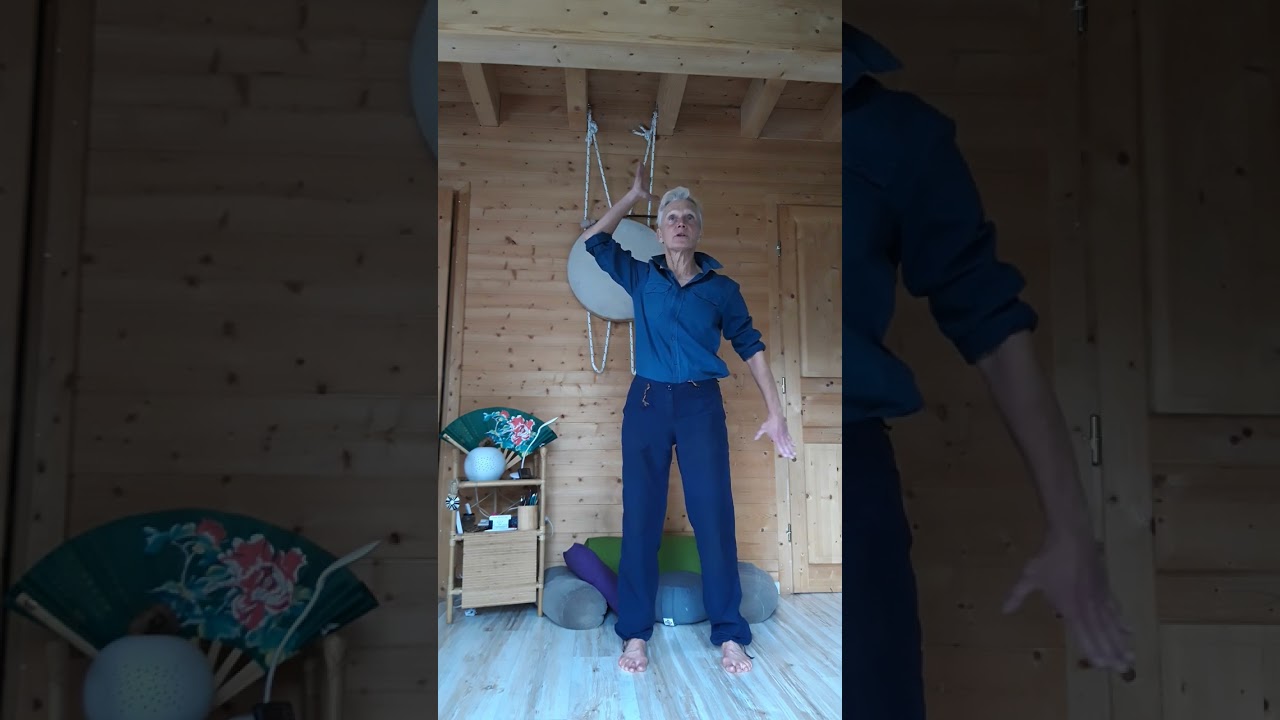 Qi Gong Nettoyage doux foie vésicule biliaire Le moulin tourne ses ailes au vent