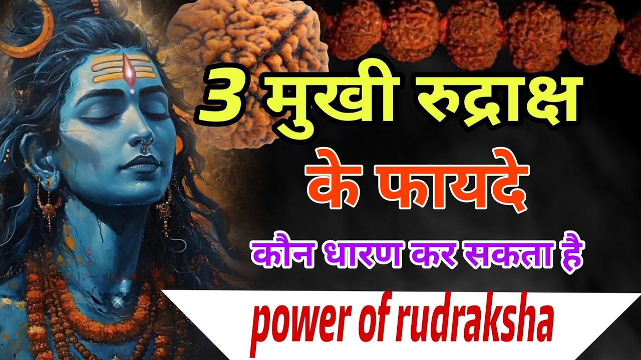 3 मुखी रुद्राक्ष धारण के चमत्कारी लाभ  | 3 face Rudraksh benefits |