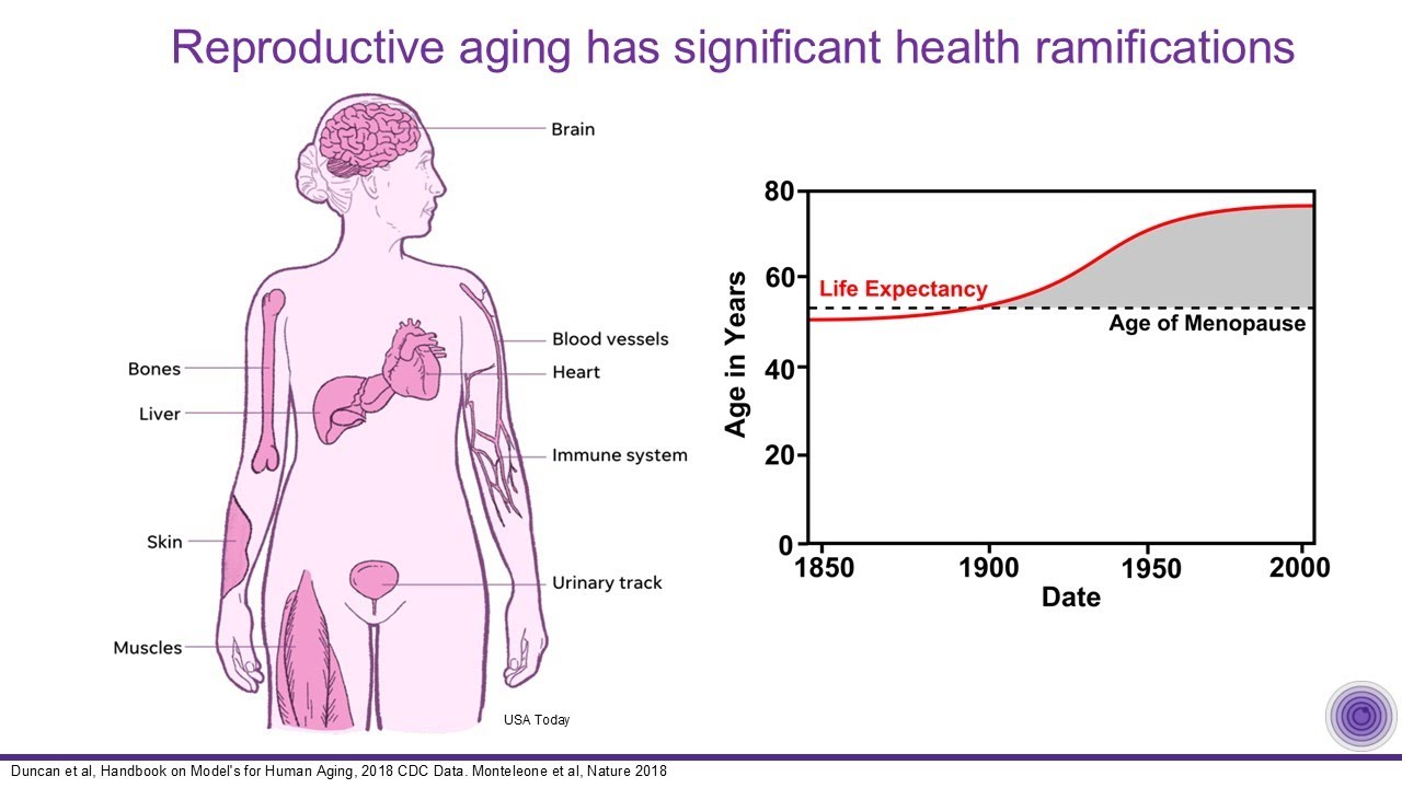 Women&rsquo;s health: insights in research and inclusion