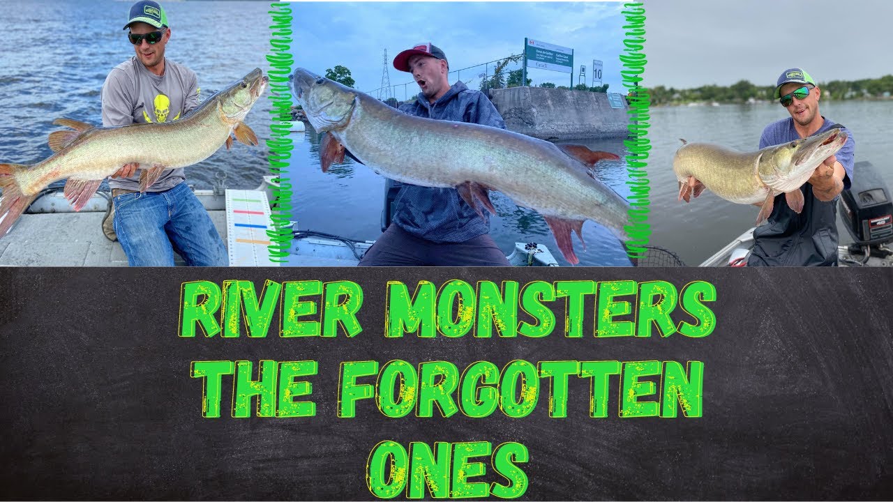 Trolling for Summer Musky ( The Forgotten Fish)