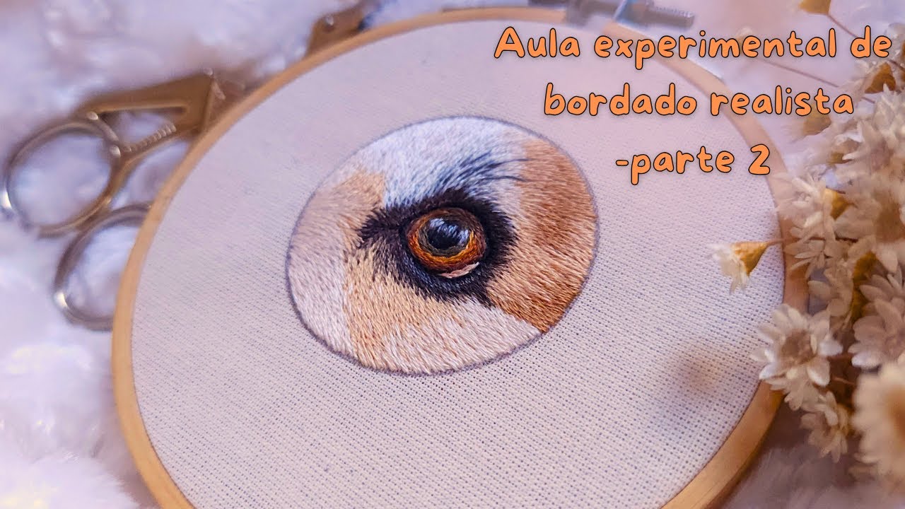 Aula de bordado realista - parte 2