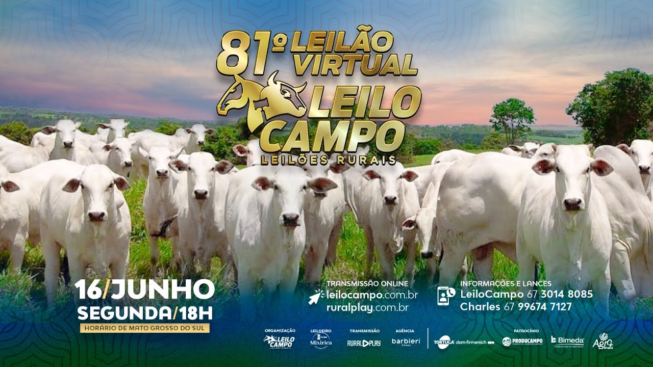 81° LEILÃO VIRTUAL LEILOCAMPO - RIO NEGRO/MS - RURAL PLAY