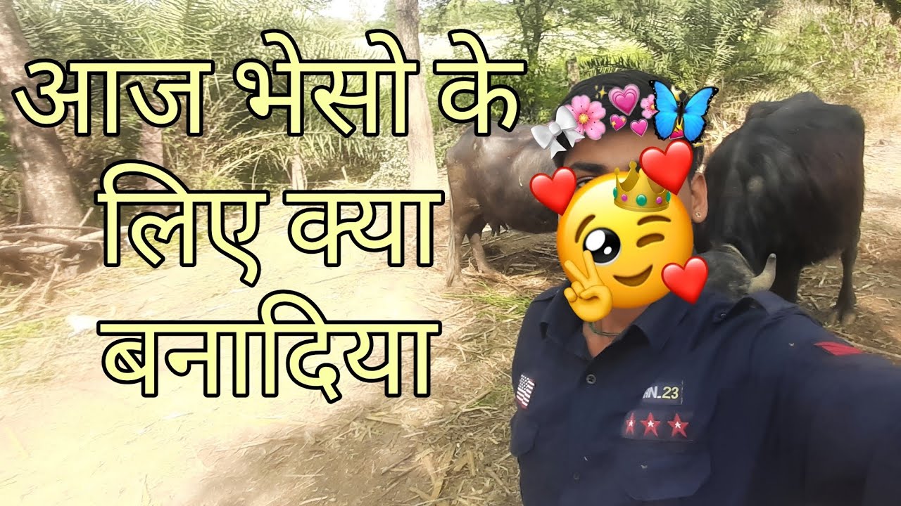 आज भेसो के लिए क्या बनादिया / #DAY_5 #dailyvlog 