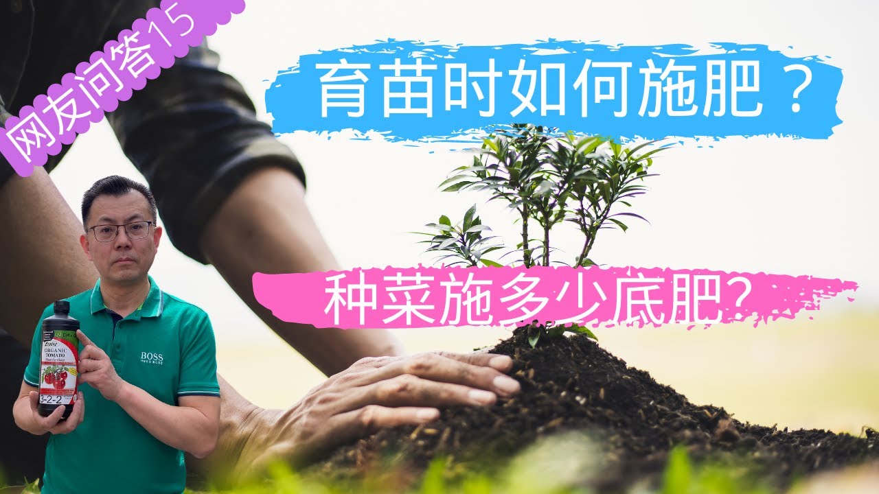 网友问答15：育苗时如何施肥？种菜施多少底肥？