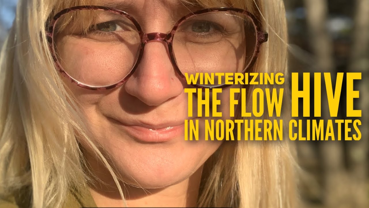 Winterizing a Challenging Flow Hive in Northern Climates | Beekeeping Trials & Modifications