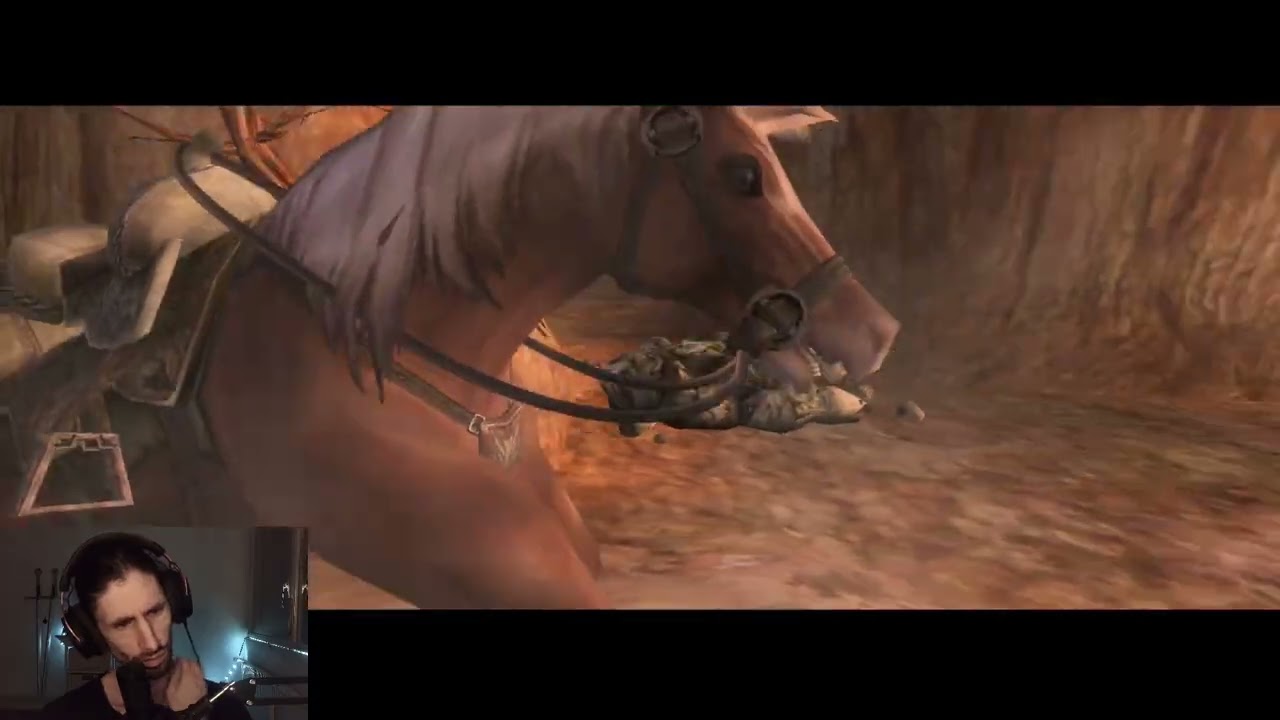 LA QUÊTE DE L'EAU THERMALE ... | Zelda Twilight Princess