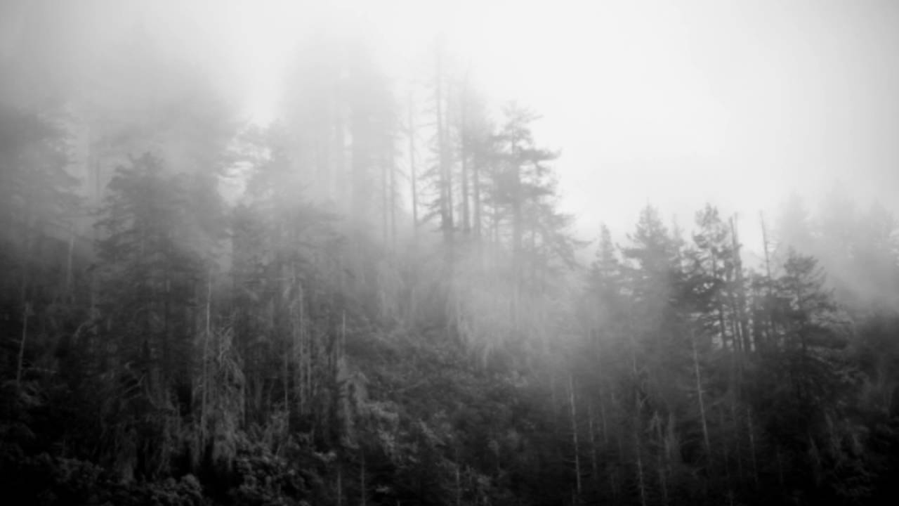 Witch Moth - The Harpies' Wood