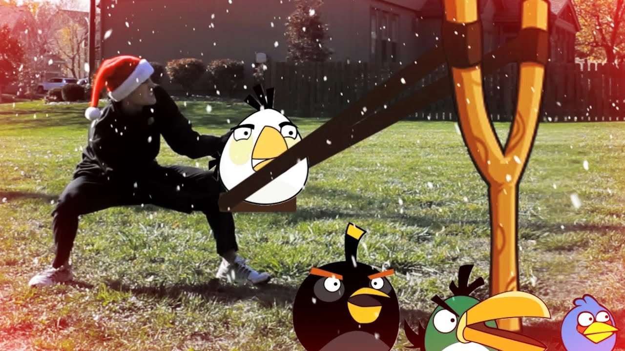 Real Life Angry Birds Seasons ❅ Christmas ❅