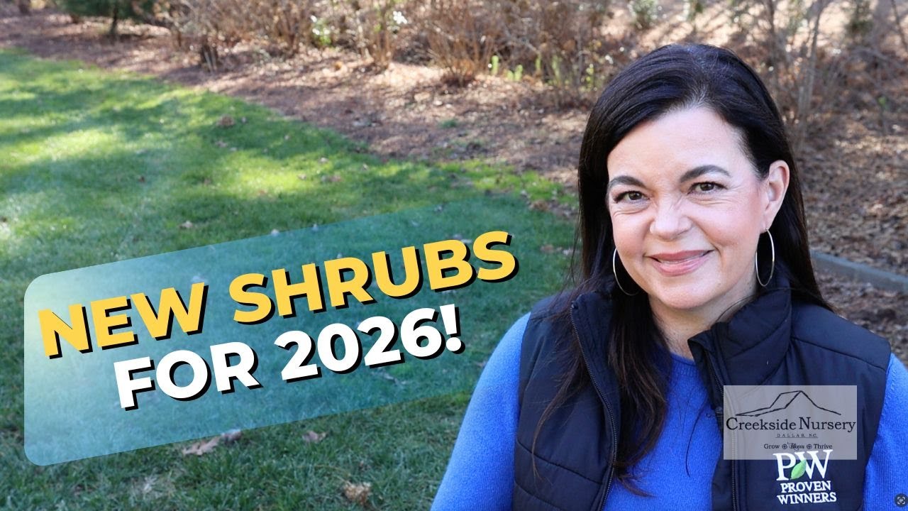 I&rsquo;m Sharing ALL the Proven Winners 2026 Shrubs (And I&rsquo;m So Excited!)