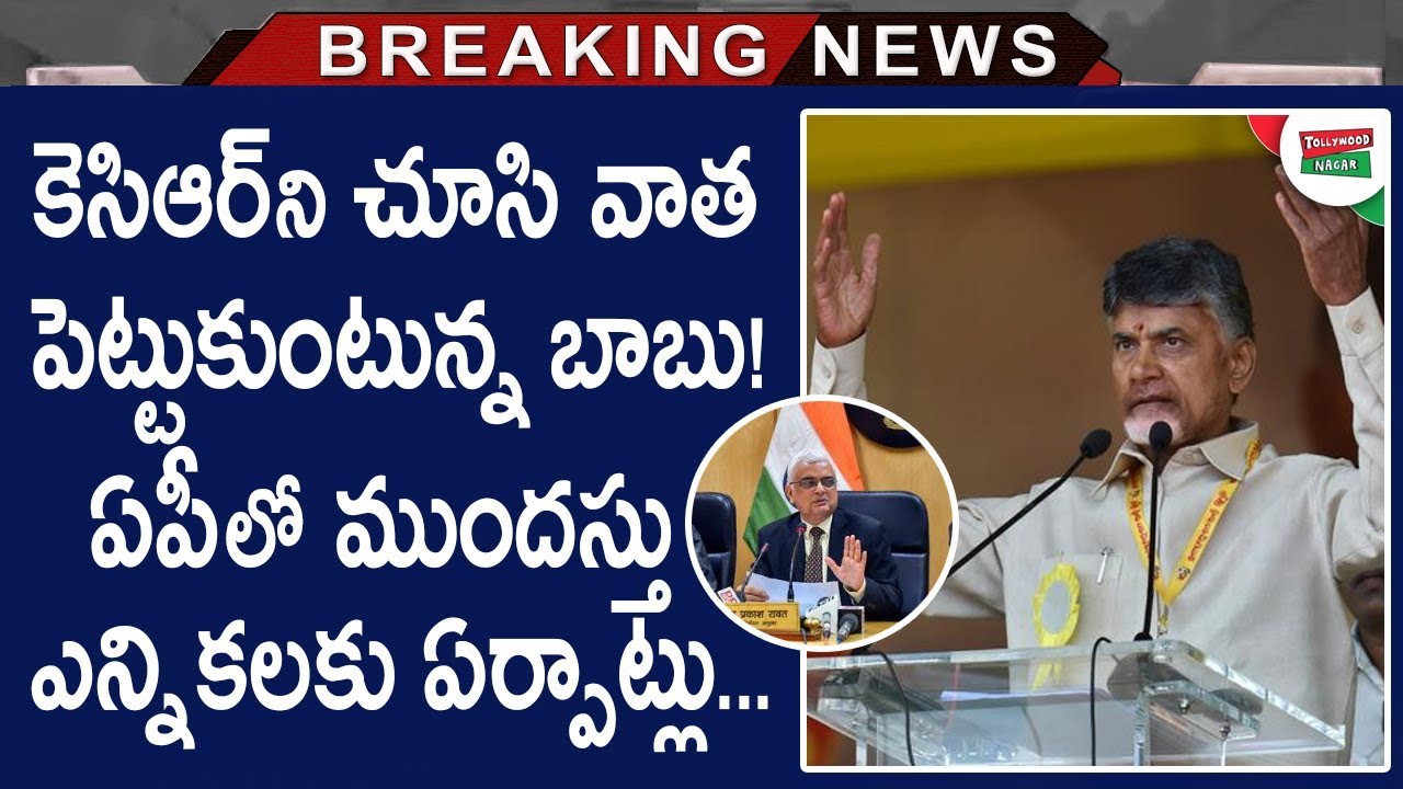 AP CM Chandrababu Naidu Master Plans For 2019 AP Assembly Elections | AP Elections in 2019 April