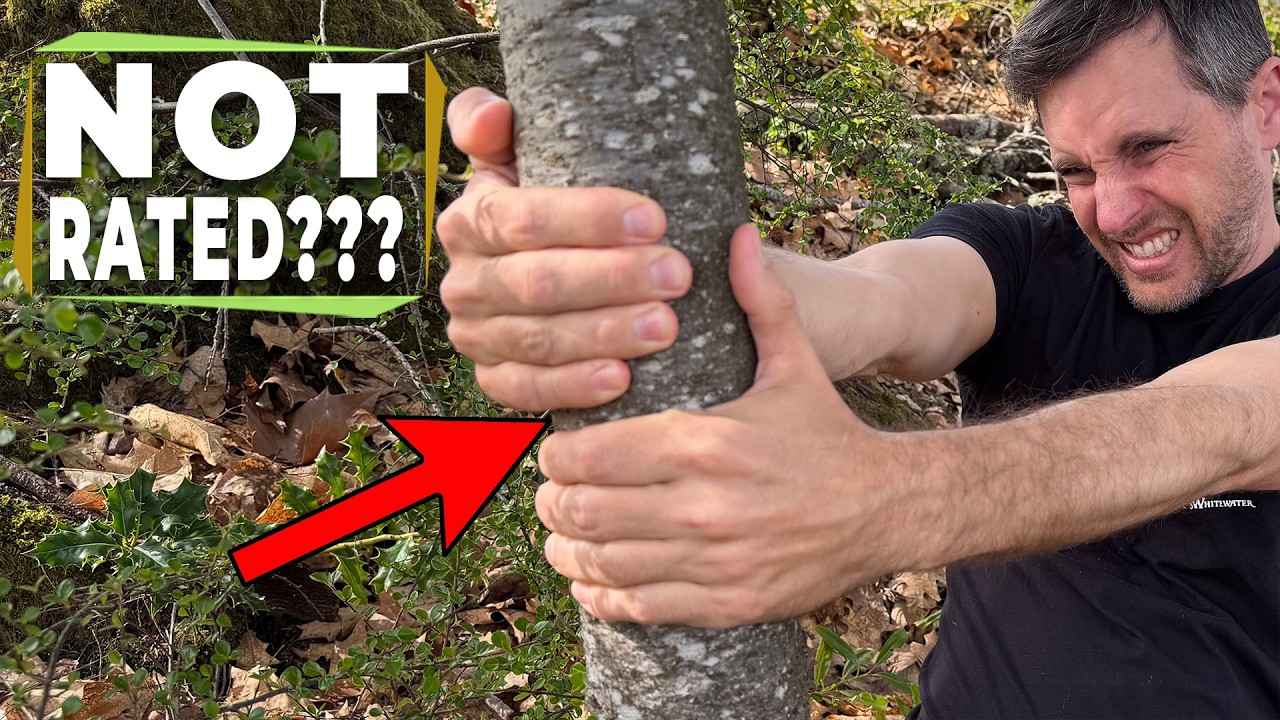 We pulled over trees!