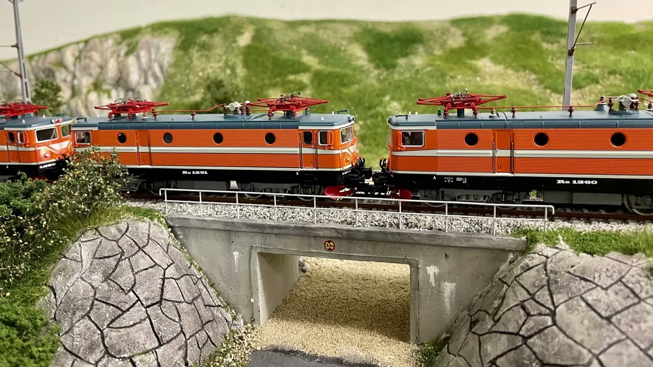 alpnacher Swedish trains I