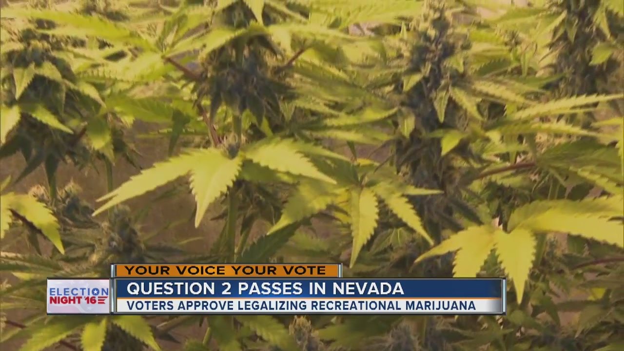 Nevada approves measure to legalize recreational marijuana