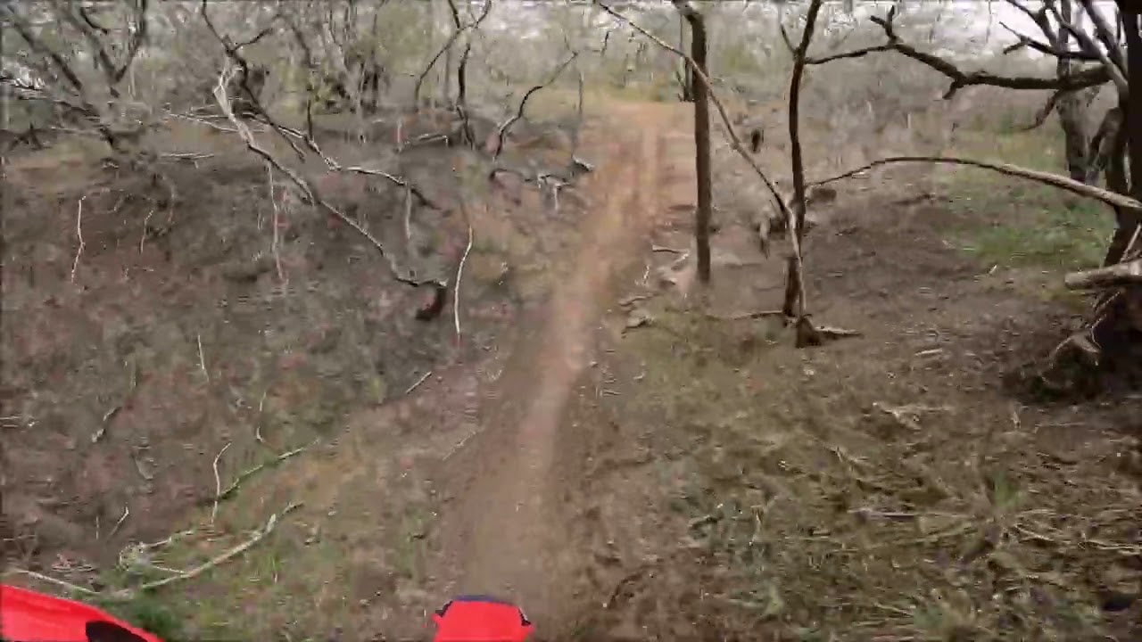 CRF250RX at Zars Ranch