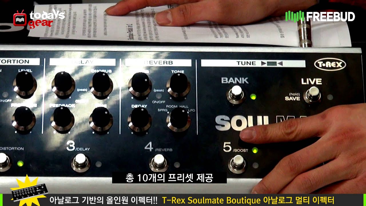 Todaysgear T-Rex Soulmate Boutique Analog Multi 아날로그 멀티 이펙터