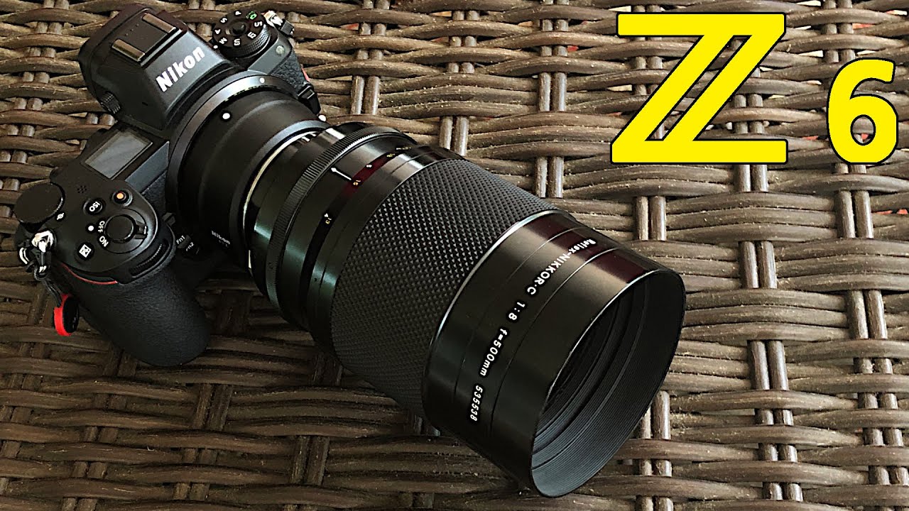 Nikon Z6 с зеркальным объективом 500 мм: тест в реальных условиях