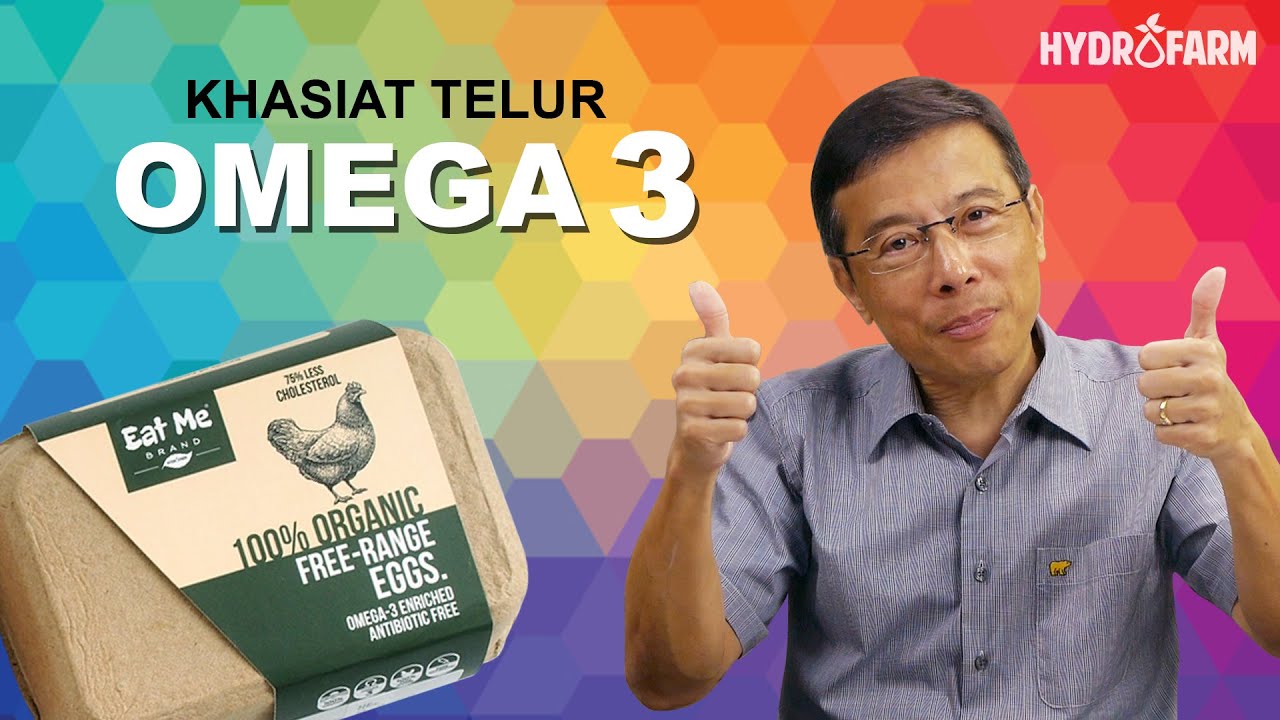 Keunggulan Telur Omega 3 dari telur biasa??