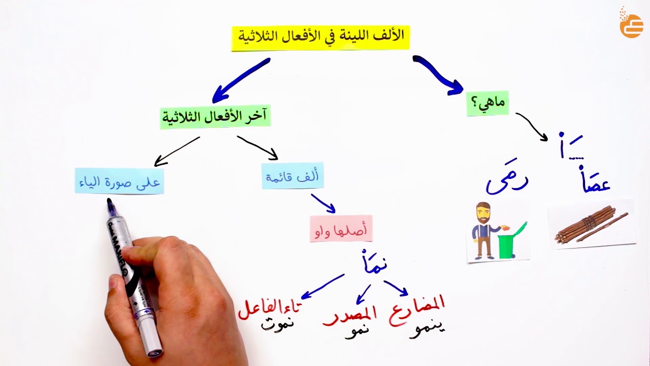 مراجعات عين | الالف اللينة في الافعال الثلاثية