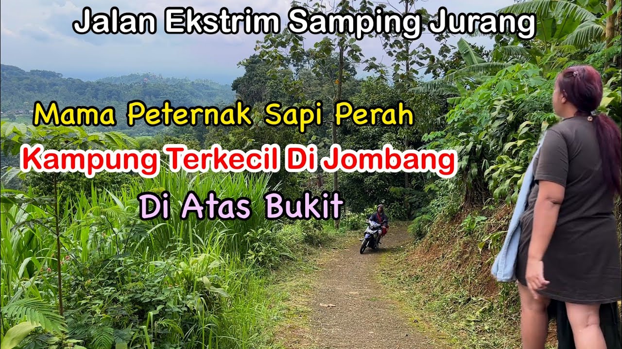 Kehidupan Kampung Ekstrim Wonosalam Jombang Pemukiman Terpencil Di Atas Bukit Kaki Gunung Anjasmoro