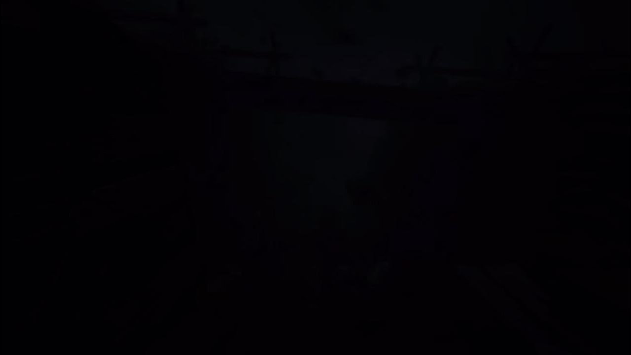 Reanimal  08