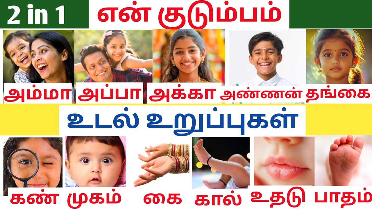 En kudumbam / Udal uruppugal / Body parts tamil / My family in tamil