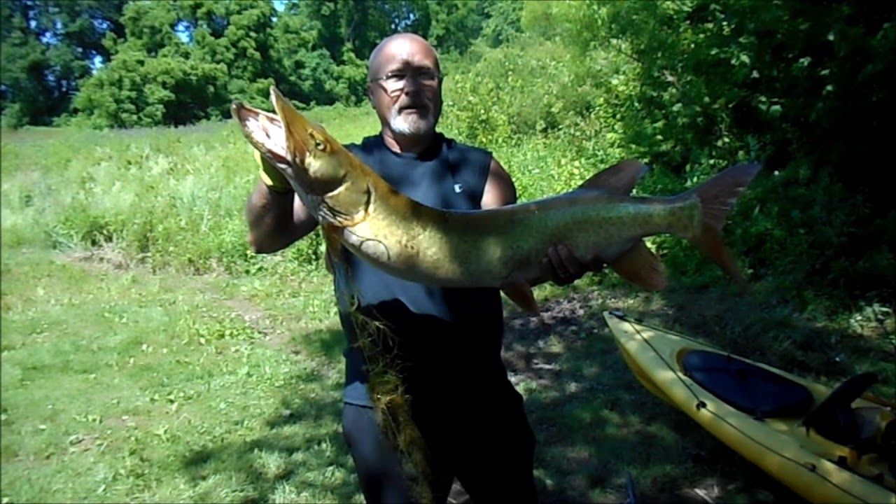 June fishing At Marsh Creek Lake