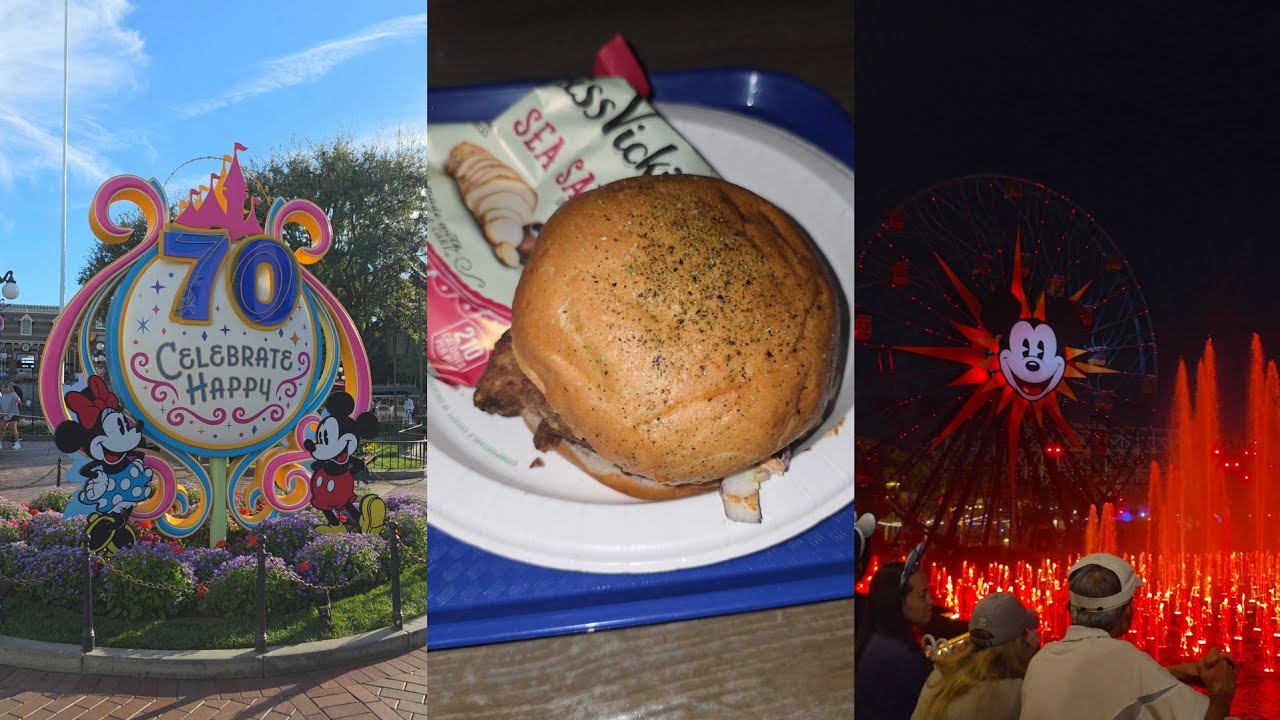 Our First Day Out of Three at Disneyland for Cynthia's Birthday