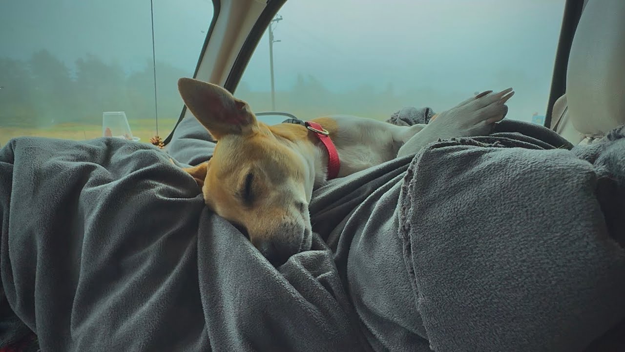 Travelogue: Sequim, Washington | 21 JUL 2025