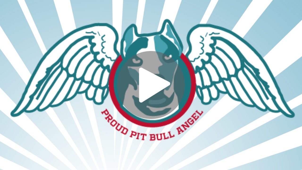 Proud Pit Bull Angel - Nicola