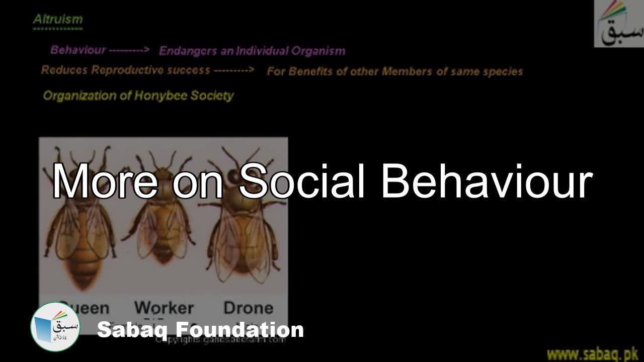 More on Social Behaviors, Biology Lecture | Sabaq.pk