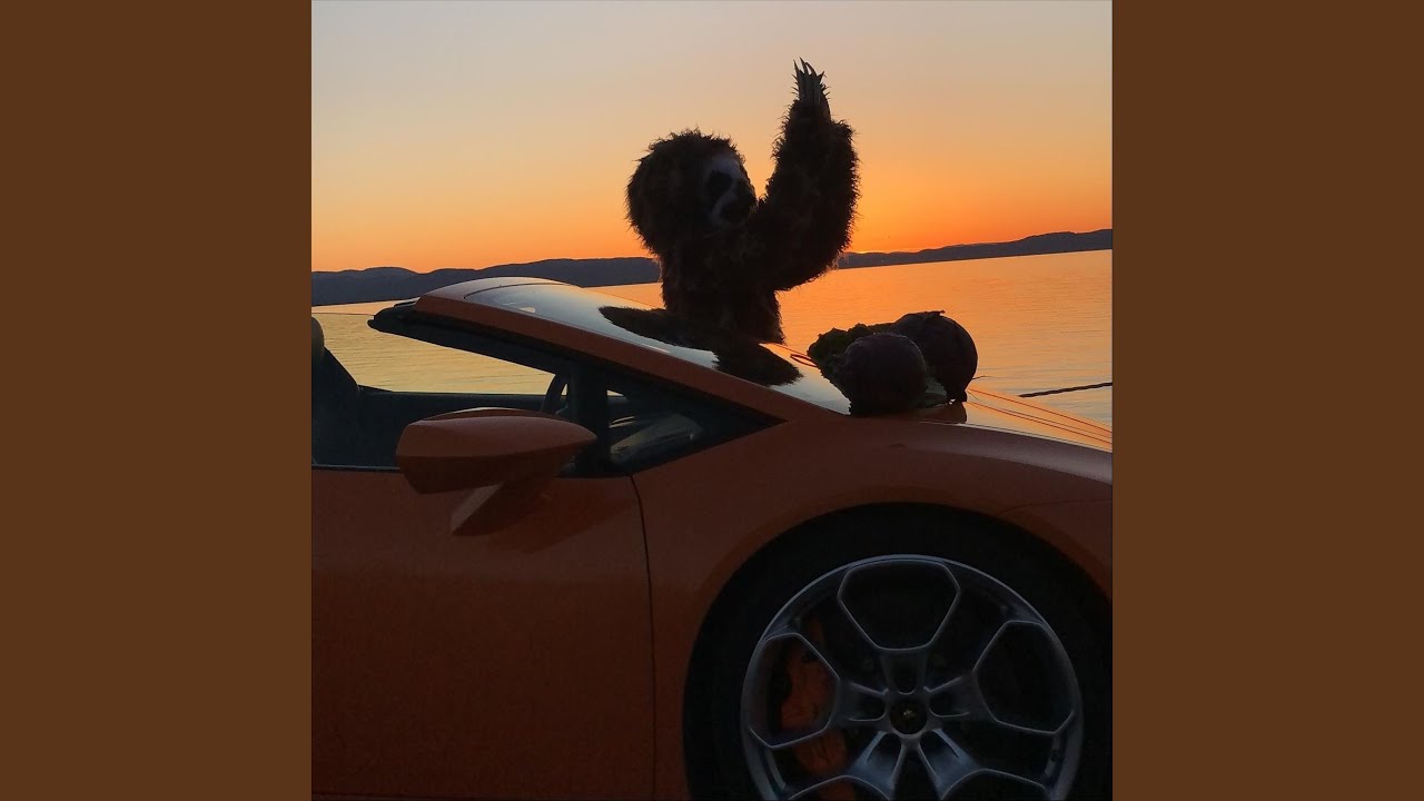 Shake It Like a Sloth