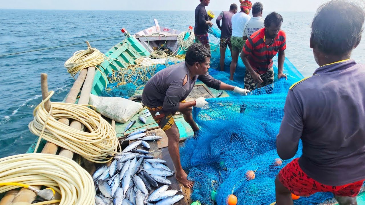 இதுவரை யாரும் பார்த்திடாத வித்தியாசமான முறையில் மீன் பிடி முறை | 750 கிலோ சூரை மீன் பிடித்தோம்