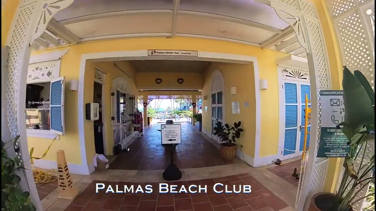 Palmas del Mar