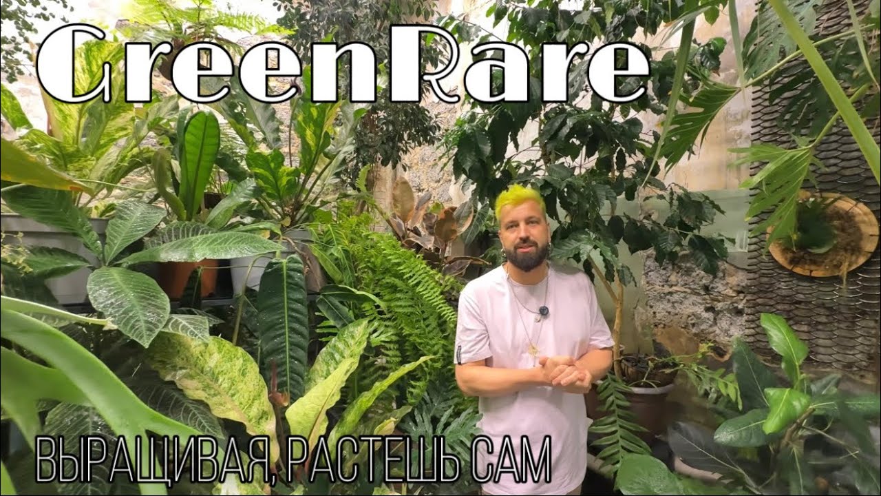 GreenRare - Школа фитодизайна || Редкие растения со всего света в Москве || Обзор пространства