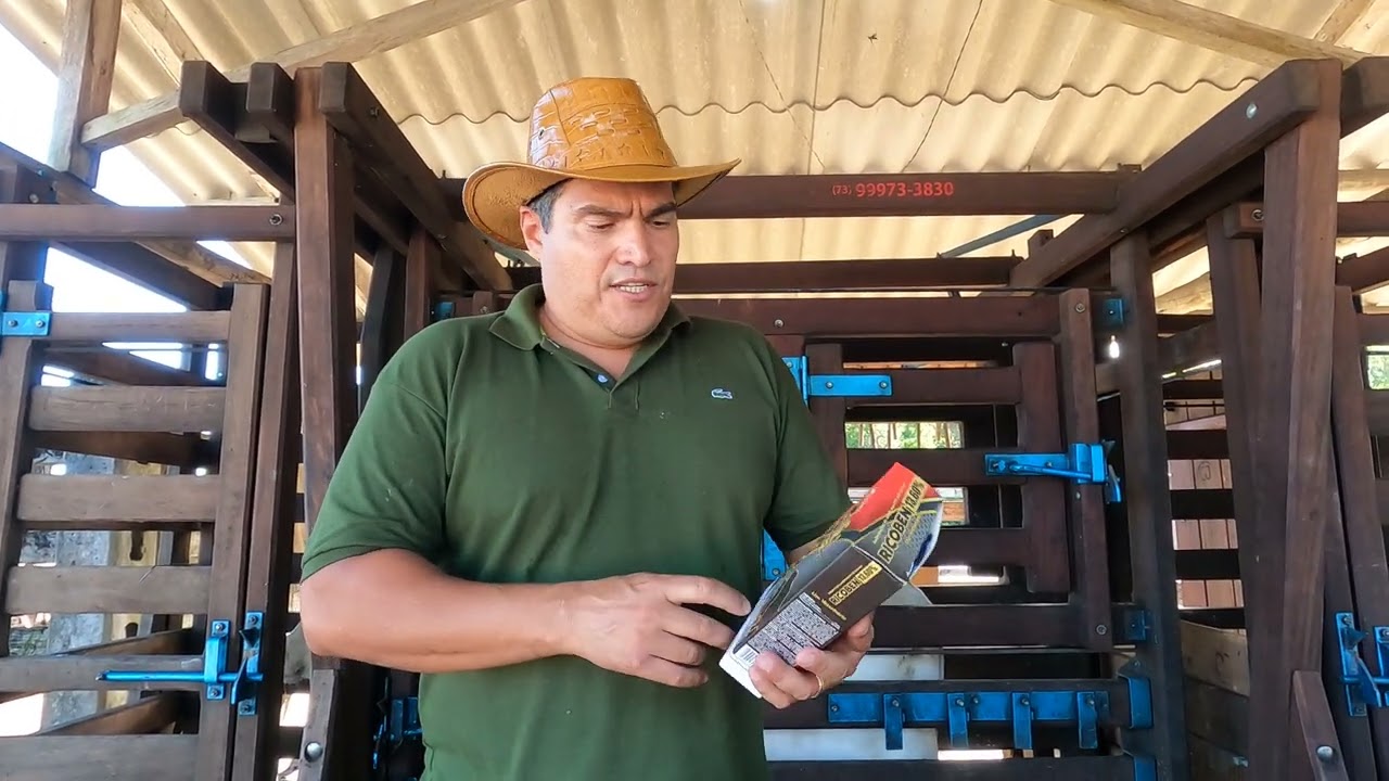 Dicas manejo sanitário - Vermifugação de bovinos