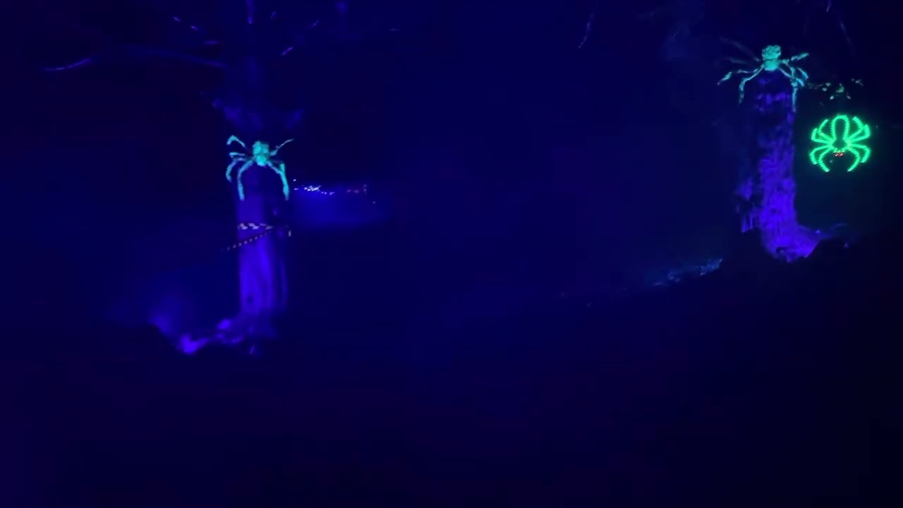 Traquair Woodland Light Trail 2023
