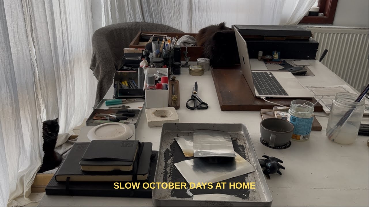 a quiet october day at home with my cats
