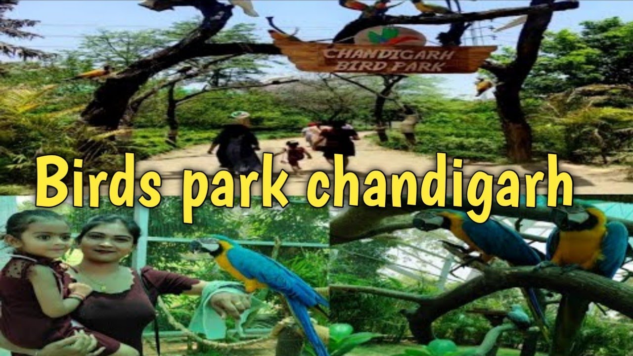 Bird park ||Birds Park, Chandigarh||Timming, ticket price @anitascreativity