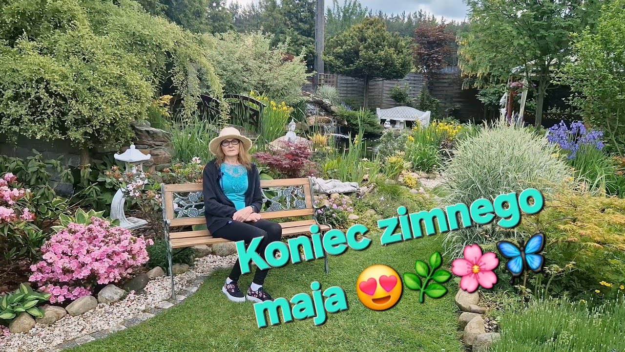 Koniec zimnego maja 👍 Co zastosuje na choroby grzybowe roślin i warzyw ? 🤔 30 maj 2025.
