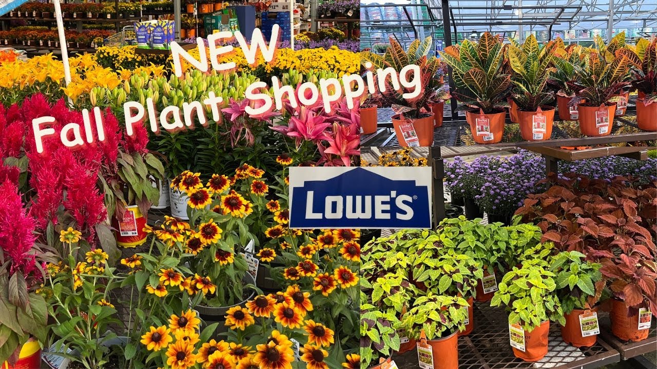 New Fall Plant Shopping at Lowes Garden Center 2023