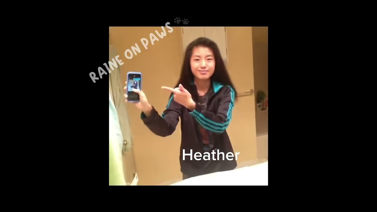 Total Drama as vines (part 1)
