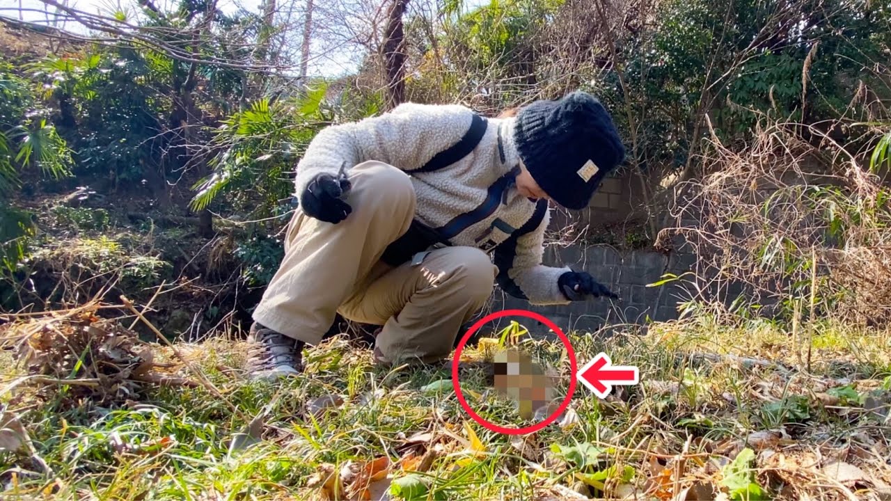 【超猛毒】有名な春の味覚にソックリな事故多発の危険なやつ