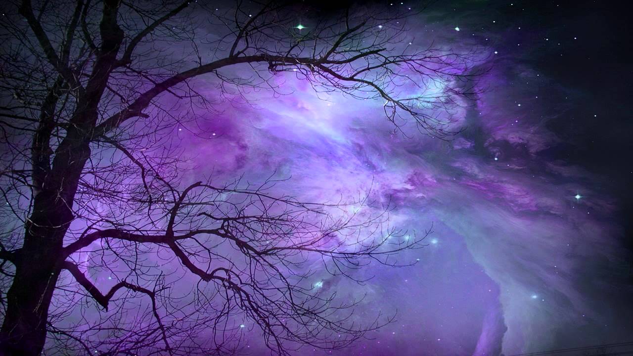 Skyforest - Inexistence