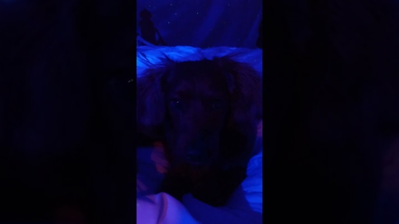 jojo nighttime listening
