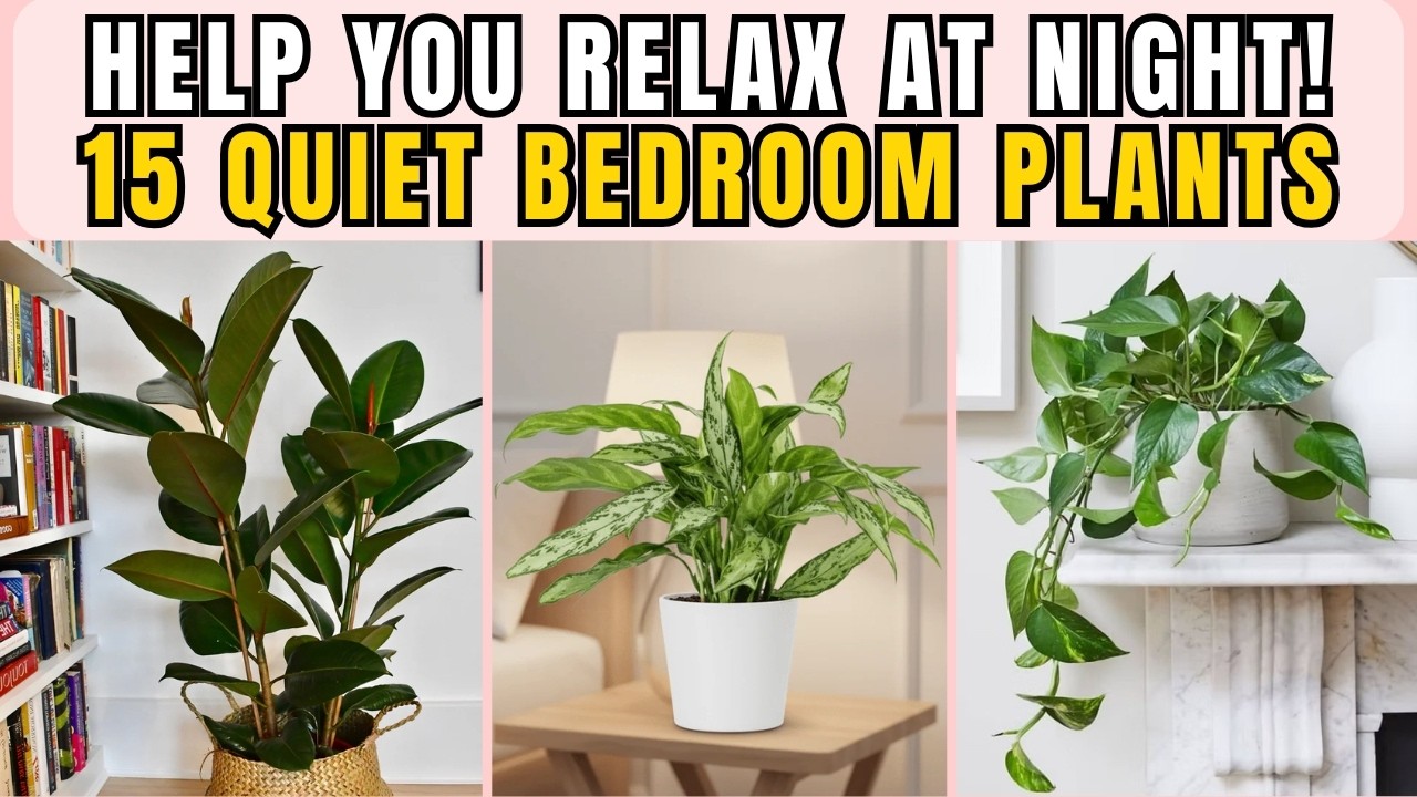 Top 15 Quiet Bedroom Plants That Help You Relax at Night and Thrive in Low-Light Apartments