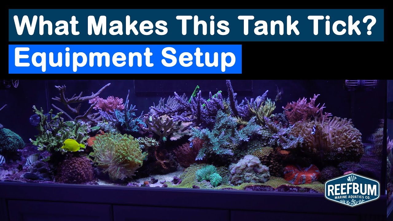 What Makes This Tank Tick? My Equipment Setup