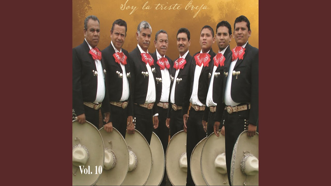Linda cancion